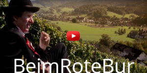 Ein Mann in Anzug und Hut sitzt auf einer Anhöhe und blickt auf RoterBur und die grüne Landschaft unter ihm.