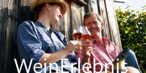 Zwei Personen stoßen mit RoterBur-Weingläsern an und lächeln in der Nähe eines Weinbergs.