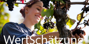 Frau bei der Traubenlese für RoterBur-Wein, mit WertSchätzung unten eingeblendet.