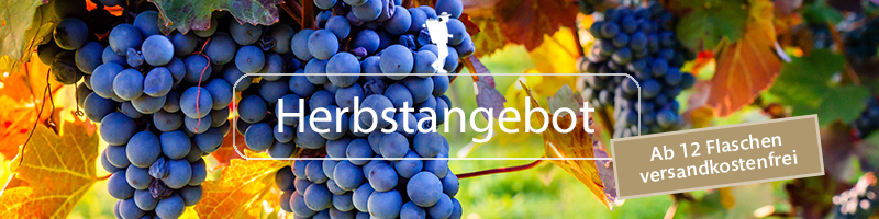 Lila Trauben an einem Weinstock mit Herbstlaub, Text: Herbstangebot und Versandinfo. Lila Trauben an einem Weinstock mit Herbstlaub, Text: Herbstangebot und Versandinfo.