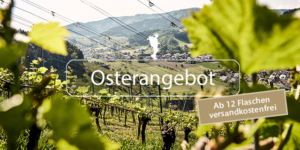 Weinlandschaft mit Osterangebot und kostenlosem Versand für 12 oder mehr Flaschen.